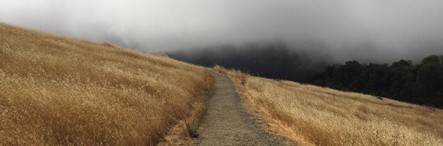 IMG_0665