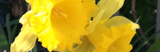IMG_0395
