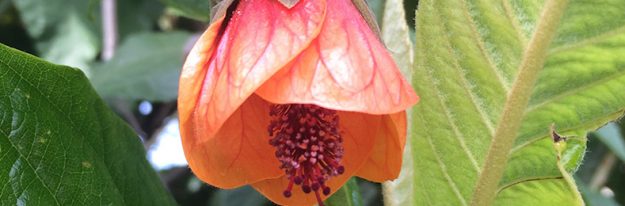 IMG_1080
