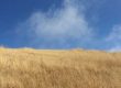 A picture of Amber Hills Against Azure Sky & Clouds accompanies my blog post about successfully treating ED.