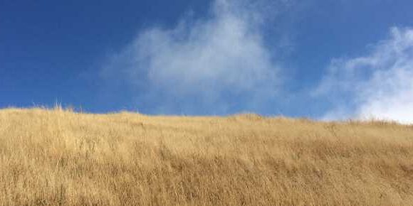 Amber Hills Against Azure Sky & Clouds