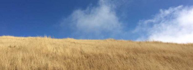 Amber Hills Against Azure Sky & Clouds A picture of Amber Hills Against Azure Sky & Clouds accompanies my blog post about successfully treating ED.