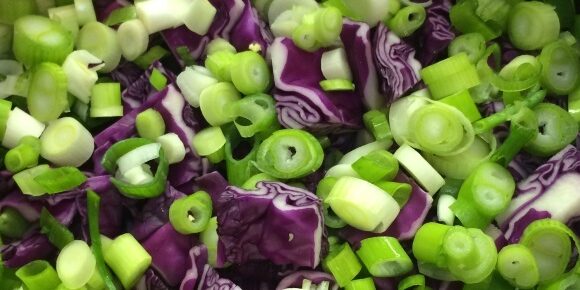 Purple Cabbage and Green Onions