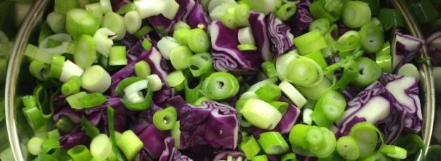 Purple Cabbage and Green Onions