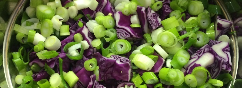 Purple Cabbage and Green Onions