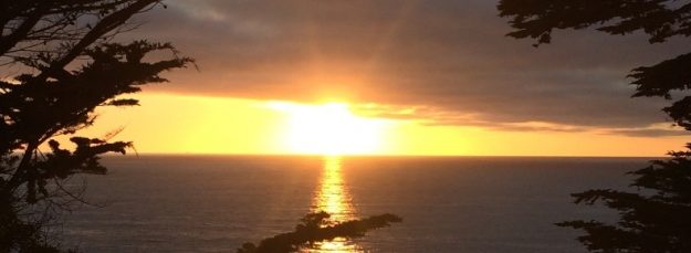 Sunset in Montara CA A picture of the sun setting framed above by clouds and below by ocean and framed left and right by cypress branches.