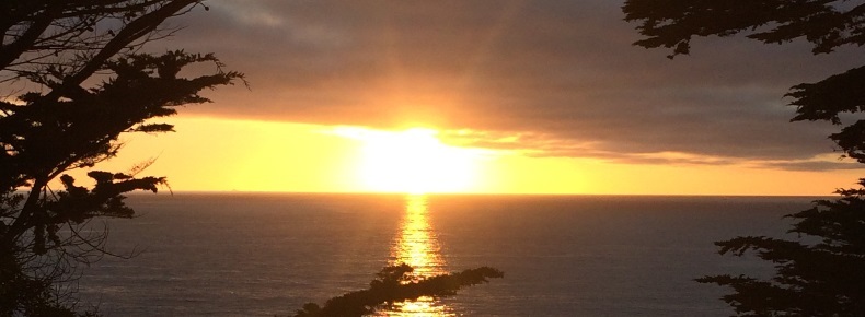Sunset in Montara CA A picture of the sun setting framed above by clouds and below by ocean and framed left and right by cypress branches.