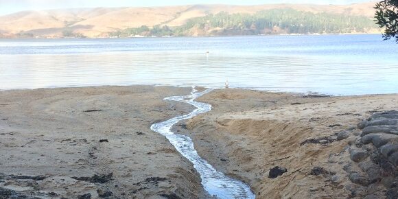 Creek Meets Bay at Heart’s Desire Beach