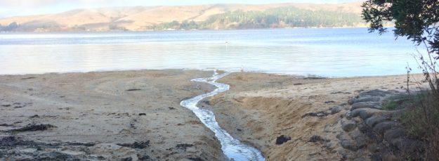 Creek Meets Bay at Heart’s Desire Beach